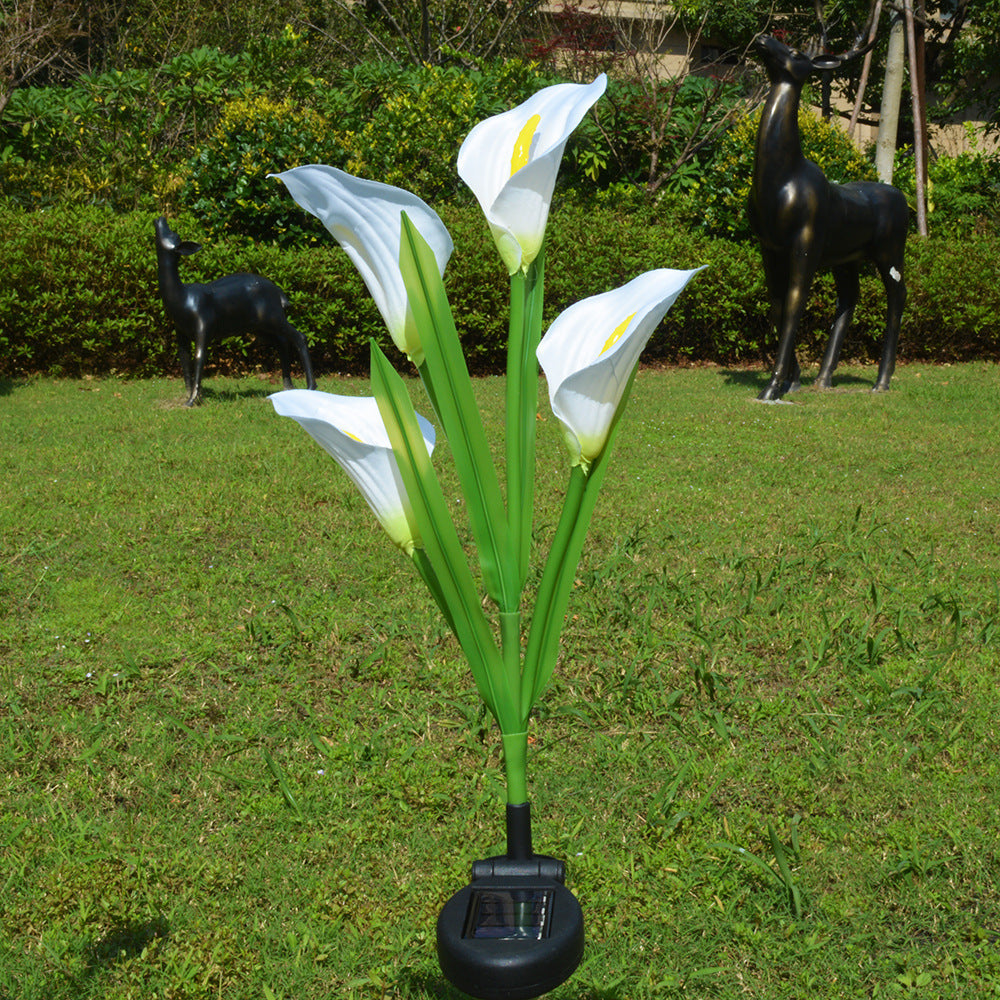 image_1
